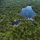 Stoppt den Ökozid! Kongo-Becken erhalten! ❤️‍🔥 Stop the ecocide! Preserve the Congo Basin! ✊