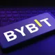 Holland Bybit leads checker