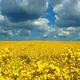 Транспорт Украина - Молдова