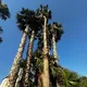 Недвижимость Кипр 🇨🇾🏝️☀️Лимассол/Пафос/Ларнака🇨🇾