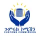 aa airport Customs customer education