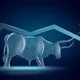 THE BULL RUN