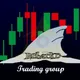 BsharkD Trading Group🦈