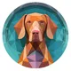 Hungarian Vizsla Inu Nigeria 🇳🇬