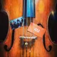 Музыканты For You «4u.stav»
