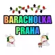 🇨🇿 Bazar Praha│Барахолка Прага Чехия 🇨🇿