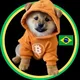 Dog Brasil 🇧🇷