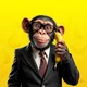 Monkey Business