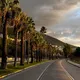 Apartments for rent in Vlore