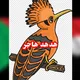 قناه هدهد هاجر