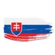 Pravdu Pre Naše Slovensko 🇸🇰