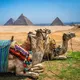 Экскурсии в Египте, Иордании, Израиль🏝🇪🇬🇯🇴🇮🇱 Хургада, Шарм-Эль-Шейх, Петра, Каир, Луксор, Дахаб, Нувейба, Иерусалим