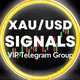 🔸Signal channel🔸