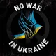 Stop war in Ukraine 🙏 🇺🇦 #USA #Canada #England #Belgium #Berlin #London #Netherlands #Denmark