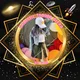 Galactic Trader Alexa VIP🌹