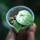 🐒 Мартышкины излишки 🌴 продам/отдам/выкину