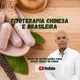 FERNANDO BRAGA - Fitoterapia (News)