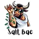 Salt Bae (SBAE) Group
