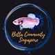 🪞🐟 Betta Community Singapore🪞🐟