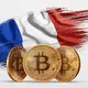 FRANCE BITCOIN & CRYPTO INVESTISSEMENT🇫🇷🤑
