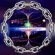The Vortex PLANE-T Torus stationary eart(H)eart