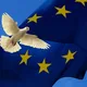 Работа и перевозки! Европа 🇪🇺