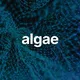 ALGAE 🌱 Crypto Coworking Lisbon 💸