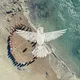Colibri Spirit Festival | Community