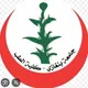 اعداد طب جامعة بنغازي 🤍