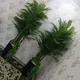 Sofiya 🌷 flovers🌷