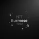 Nft Burmese Team