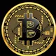 Perfectmininghub.net official Investors
