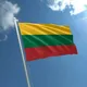 Русские в Литве. Чат.