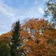 Теолог в парикмахерской