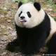 Timi的小屋