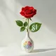 မန္တလေးပြင်ပ ကင်းထောက်ကွန်ယက်