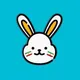 Little Rabbit IRAN 🐰🇮🇷