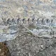Камино Сториз