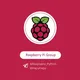 Raspberry & Python & Linux 🐍