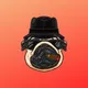 PugFather Announcements