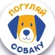 Погуляй собаку