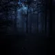 بـ۪ٜـ۪ٜنـ۪ٜـ۪ٜد۪ٜ بـ۪ٜـ۪ٜر۪ٜاد۪ٜر۪ٜی۪