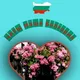 НАША БОЛГАРИЯ