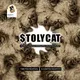 Toly's Cat | Co-founder of Solana | $tolycat | CTO