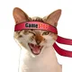 GameStop Global Chat