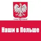 ЛЕГАЛЬНАЯ ПОЛЬША 🇵🇱 Live