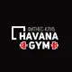 Havana Gym