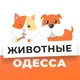 Животные Одесса