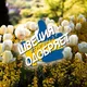 Hetalia & DJ Scanlate: Швеция одобряет (18+)