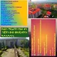 Werabe university selefy muslim student official page
